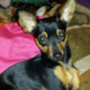 Meet your Posher, Renee